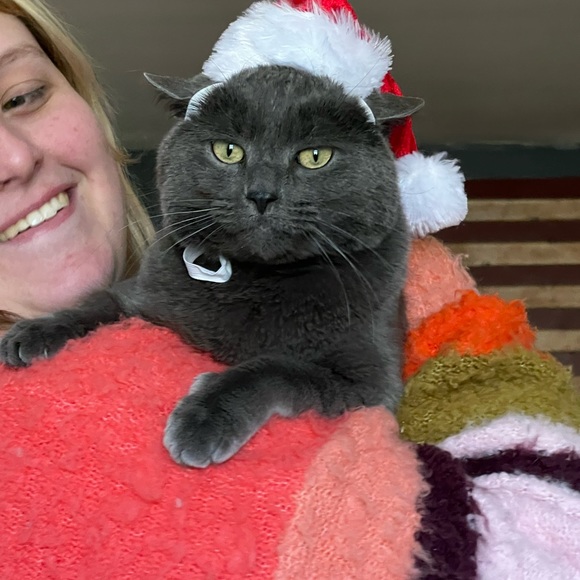 Hi! It’s Me, Kylo! - Picture 5 of 8